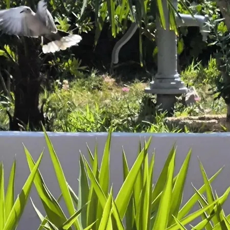 In With Terrace, Air Conditioning, Wifi, Washing Machine 3567-1 *