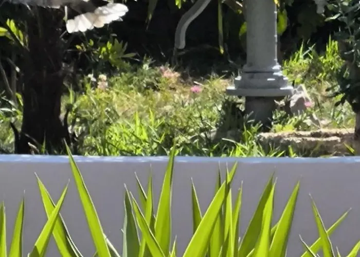 In With Terrace, Air Conditioning, Wifi, Washing Machine 3567-1 *